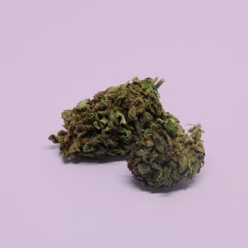 purple Kush 2 copia