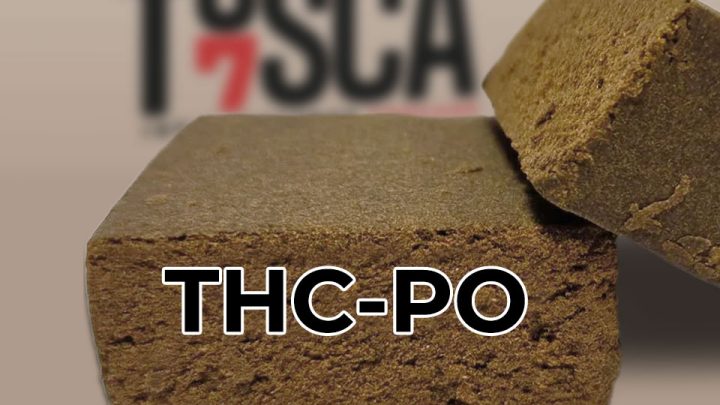 chocolate-thcpo